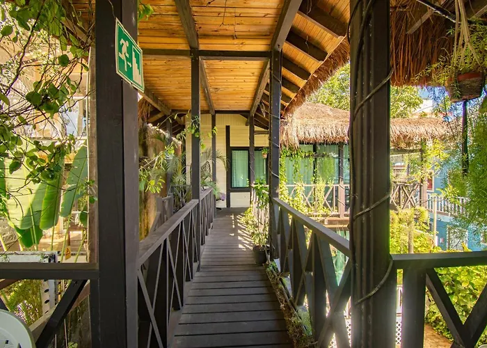 Villa Alicat *