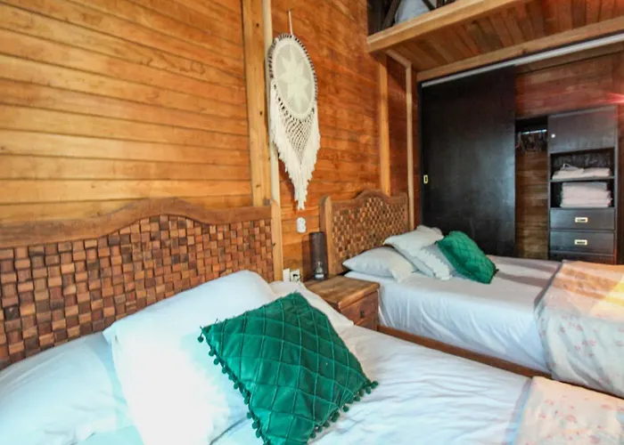Alicat Tulum