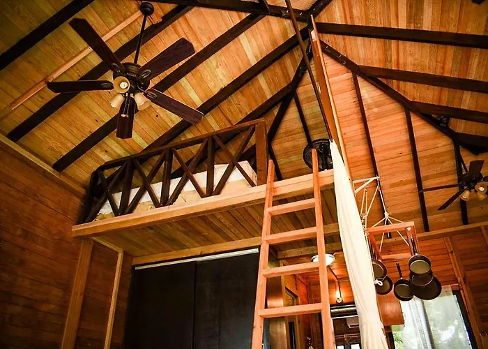Alicat Villa Tulum